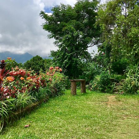 Hidden Paradise Guest House โพคารา ภายนอก รูปภาพ