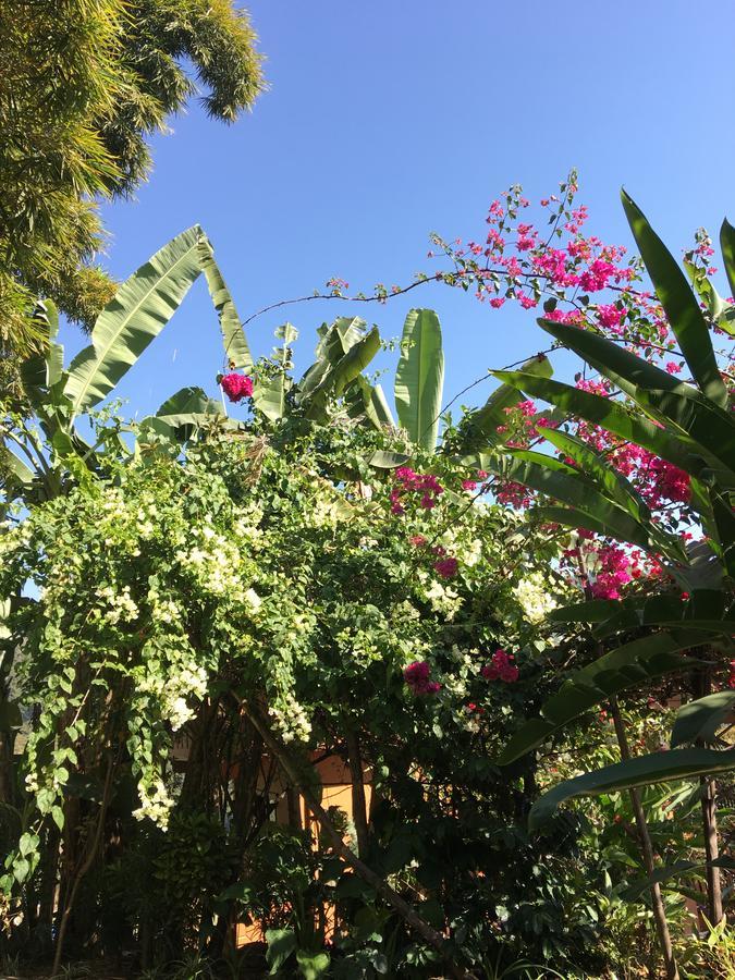 Hidden Paradise Guest House โพคารา ภายนอก รูปภาพ