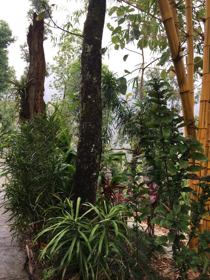 Hidden Paradise Guest House โพคารา ภายนอก รูปภาพ