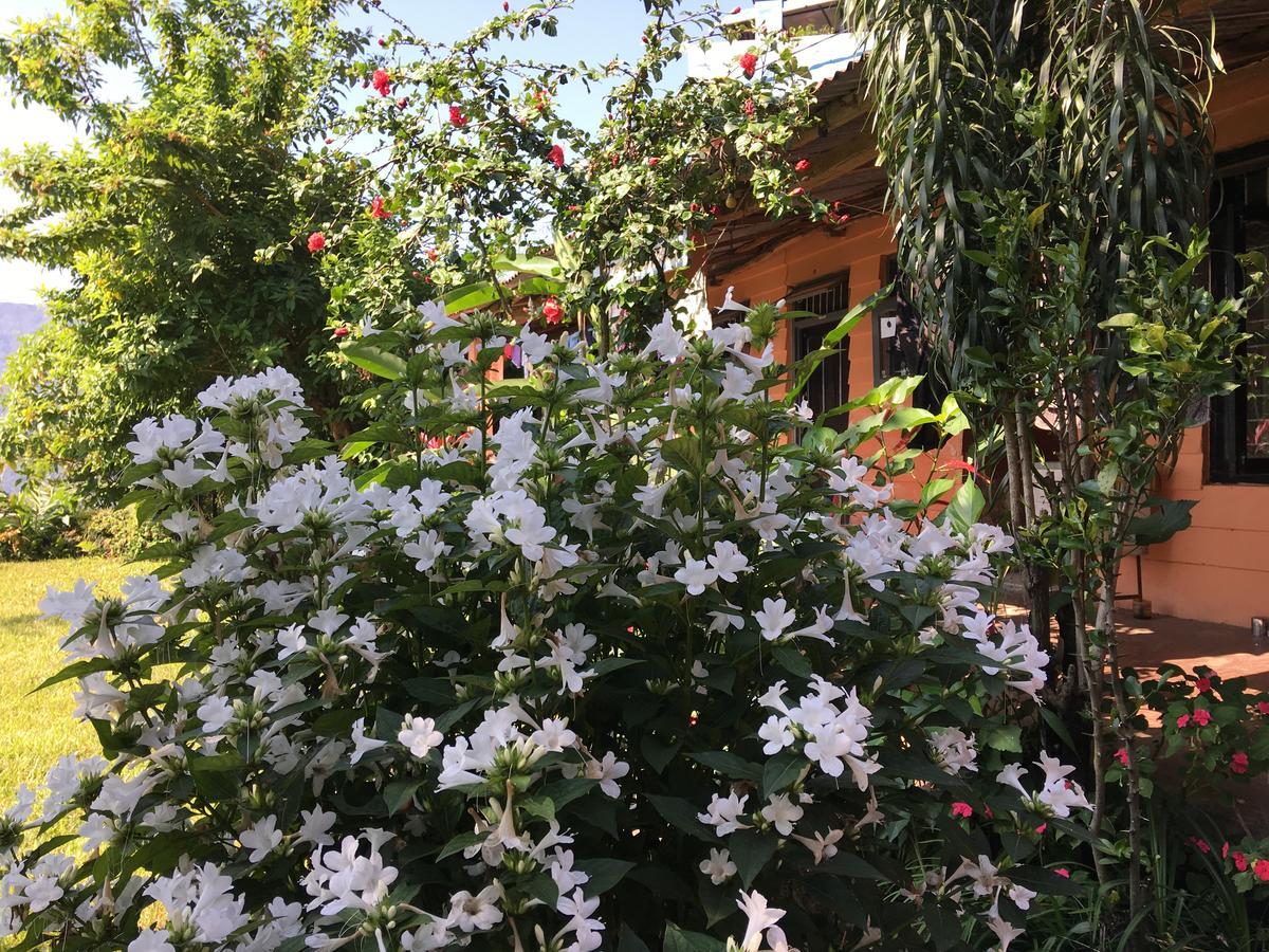 Hidden Paradise Guest House โพคารา ภายนอก รูปภาพ