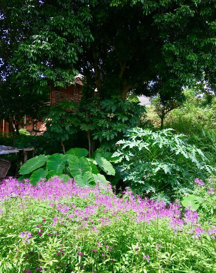 Hidden Paradise Guest House โพคารา ภายนอก รูปภาพ